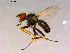  ( - 10PROBE-16021)  @14 [ ] CreativeCommons - Attribution (2011) CBG Photography Group Centre for Biodiversity Genomics