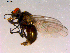  ( - 10PROBE-16033)  @12 [ ] CreativeCommons - Attribution (2011) CBG Photography Group Centre for Biodiversity Genomics