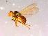  ( - 10PROBE-16040)  @13 [ ] CreativeCommons - Attribution (2011) CBG Photography Group Centre for Biodiversity Genomics