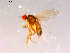  ( - 10PROBE-16041)  @12 [ ] CreativeCommons - Attribution (2011) CBG Photography Group Centre for Biodiversity Genomics
