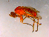  ( - 10PROBE-16201)  @12 [ ] CreativeCommons - Attribution (2011) CBG Photography Group Centre for Biodiversity Genomics