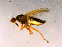  ( - 10PROBE-16233)  @13 [ ] CreativeCommons - Attribution (2011) CBG Photography Group Centre for Biodiversity Genomics
