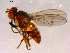  ( - 10PROBE-16255)  @12 [ ] CreativeCommons - Attribution (2011) CBG Photography Group Centre for Biodiversity Genomics