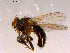  ( - 10PROBE-16304)  @13 [ ] CreativeCommons - Attribution (2011) CBG Photography Group Centre for Biodiversity Genomics