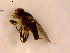  ( - 10PROBE-16331)  @12 [ ] CreativeCommons - Attribution (2011) CBG Photography Group Centre for Biodiversity Genomics