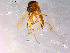  ( - 10PROBE-16338)  @12 [ ] CreativeCommons - Attribution (2011) CBG Photography Group Centre for Biodiversity Genomics