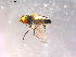  ( - 10PROBE-16417)  @12 [ ] CreativeCommons - Attribution (2011) CBG Photography Group Centre for Biodiversity Genomics