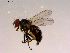  ( - 10PROBE-16444)  @13 [ ] CreativeCommons - Attribution (2011) CBG Photography Group Centre for Biodiversity Genomics