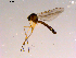  ( - 10PROBE-16479)  @12 [ ] CreativeCommons - Attribution (2011) CBG Photography Group Centre for Biodiversity Genomics