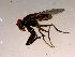  ( - 10PROBE-16552)  @13 [ ] CreativeCommons - Attribution (2011) CBG Photography Group Centre for Biodiversity Genomics