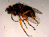  ( - 10PROBE-16571)  @12 [ ] CreativeCommons - Attribution (2011) CBG Photography Group Centre for Biodiversity Genomics
