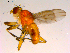  ( - 10PROBE-16645)  @12 [ ] CreativeCommons - Attribution (2011) CBG Photography Group Centre for Biodiversity Genomics