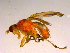  ( - 10PROBE-16646)  @13 [ ] CreativeCommons - Attribution (2011) CBG Photography Group Centre for Biodiversity Genomics