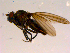 ( - 10PROBE-16705)  @13 [ ] CreativeCommons - Attribution (2011) CBG Photography Group Centre for Biodiversity Genomics
