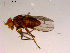  ( - 10PROBE-16743)  @12 [ ] CreativeCommons - Attribution (2011) CBG Photography Group Centre for Biodiversity Genomics