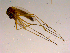  ( - 10PROBE-16784)  @12 [ ] CreativeCommons - Attribution (2011) CBG Photography Group Centre for Biodiversity Genomics