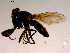  ( - 10PROBE-16789)  @12 [ ] CreativeCommons - Attribution (2011) CBG Photography Group Centre for Biodiversity Genomics