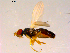  ( - 10PROBE-16816)  @13 [ ] CreativeCommons - Attribution (2011) CBG Photography Group Centre for Biodiversity Genomics