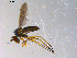  ( - 10PROBE-13513)  @13 [ ] CreativeCommons - Attribution (2011) CBG Photography Group Centre for Biodiversity Genomics