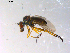  ( - 10PROBE-13514)  @13 [ ] CreativeCommons - Attribution (2011) CBG Photography Group Centre for Biodiversity Genomics