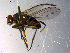  ( - 10PROBE-13551)  @12 [ ] CreativeCommons - Attribution (2011) CBG Photography Group Centre for Biodiversity Genomics