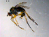  ( - 10PROBE-13580)  @13 [ ] CreativeCommons - Attribution (2011) CBG Photography Group Centre for Biodiversity Genomics