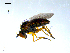  ( - 10PROBE-07828)  @13 [ ] CreativeCommons - Attribution (2011) CBG Photography Group Centre for Biodiversity Genomics