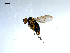  ( - 10PROBE-07842)  @13 [ ] CreativeCommons - Attribution (2011) CBG Photography Group Centre for Biodiversity Genomics