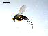  ( - 10PROBE-07843)  @14 [ ] CreativeCommons - Attribution (2011) CBG Photography Group Centre for Biodiversity Genomics