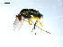  ( - 10PROBE-07849)  @13 [ ] CreativeCommons - Attribution (2011) CBG Photography Group Centre for Biodiversity Genomics