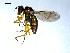  ( - 10PROBE-07858)  @13 [ ] CreativeCommons - Attribution (2011) CBG Photography Group Centre for Biodiversity Genomics