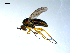  ( - 10PROBE-07867)  @13 [ ] CreativeCommons - Attribution (2011) CBG Photography Group Centre for Biodiversity Genomics