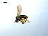  ( - 10PROBE-07868)  @13 [ ] CreativeCommons - Attribution (2011) CBG Photography Group Centre for Biodiversity Genomics