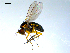  ( - 10PROBE-07871)  @13 [ ] CreativeCommons - Attribution (2011) CBG Photography Group Centre for Biodiversity Genomics