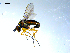  ( - 10PROBE-07982)  @14 [ ] CreativeCommons - Attribution (2011) CBG Photography Group Centre for Biodiversity Genomics