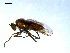  ( - 10PROBE-07992)  @13 [ ] CreativeCommons - Attribution (2011) CBG Photography Group Centre for Biodiversity Genomics