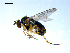  ( - 10PROBE-08009)  @13 [ ] CreativeCommons - Attribution (2011) CBG Photography Group Centre for Biodiversity Genomics