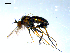  ( - 10PROBE-08015)  @13 [ ] CreativeCommons - Attribution (2011) CBG Photography Group Centre for Biodiversity Genomics