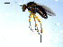  ( - 10PROBE-08028)  @14 [ ] CreativeCommons - Attribution (2011) CBG Photography Group Centre for Biodiversity Genomics