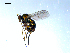  ( - 10PROBE-08046)  @13 [ ] CreativeCommons - Attribution (2011) CBG Photography Group Centre for Biodiversity Genomics