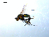  ( - 10PROBE-08067)  @13 [ ] CreativeCommons - Attribution (2011) CBG Photography Group Centre for Biodiversity Genomics