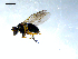  ( - 10PROBE-08079)  @12 [ ] CreativeCommons - Attribution (2011) CBG Photography Group Centre for Biodiversity Genomics