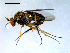  ( - 10PROBE-08089)  @13 [ ] CreativeCommons - Attribution (2011) CBG Photography Group Centre for Biodiversity Genomics