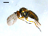  ( - 10PROBE-08104)  @13 [ ] CreativeCommons - Attribution (2011) CBG Photography Group Centre for Biodiversity Genomics