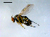  ( - 10PROBE-08108)  @13 [ ] CreativeCommons - Attribution (2011) CBG Photography Group Centre for Biodiversity Genomics