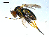  ( - 10PROBE-08167)  @13 [ ] CreativeCommons - Attribution (2011) CBG Photography Group Centre for Biodiversity Genomics