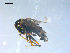  ( - 10PROBE-08170)  @12 [ ] CreativeCommons - Attribution (2011) CBG Photography Group Centre for Biodiversity Genomics