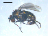  ( - 10PROBE-08172)  @12 [ ] CreativeCommons - Attribution (2011) CBG Photography Group Centre for Biodiversity Genomics