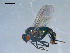  ( - 10PROBE-08175)  @12 [ ] CreativeCommons - Attribution (2011) CBG Photography Group Centre for Biodiversity Genomics