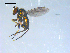  ( - 10PROBE-08193)  @12 [ ] CreativeCommons - Attribution (2011) CBG Photography Group Centre for Biodiversity Genomics